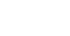 Indago Development